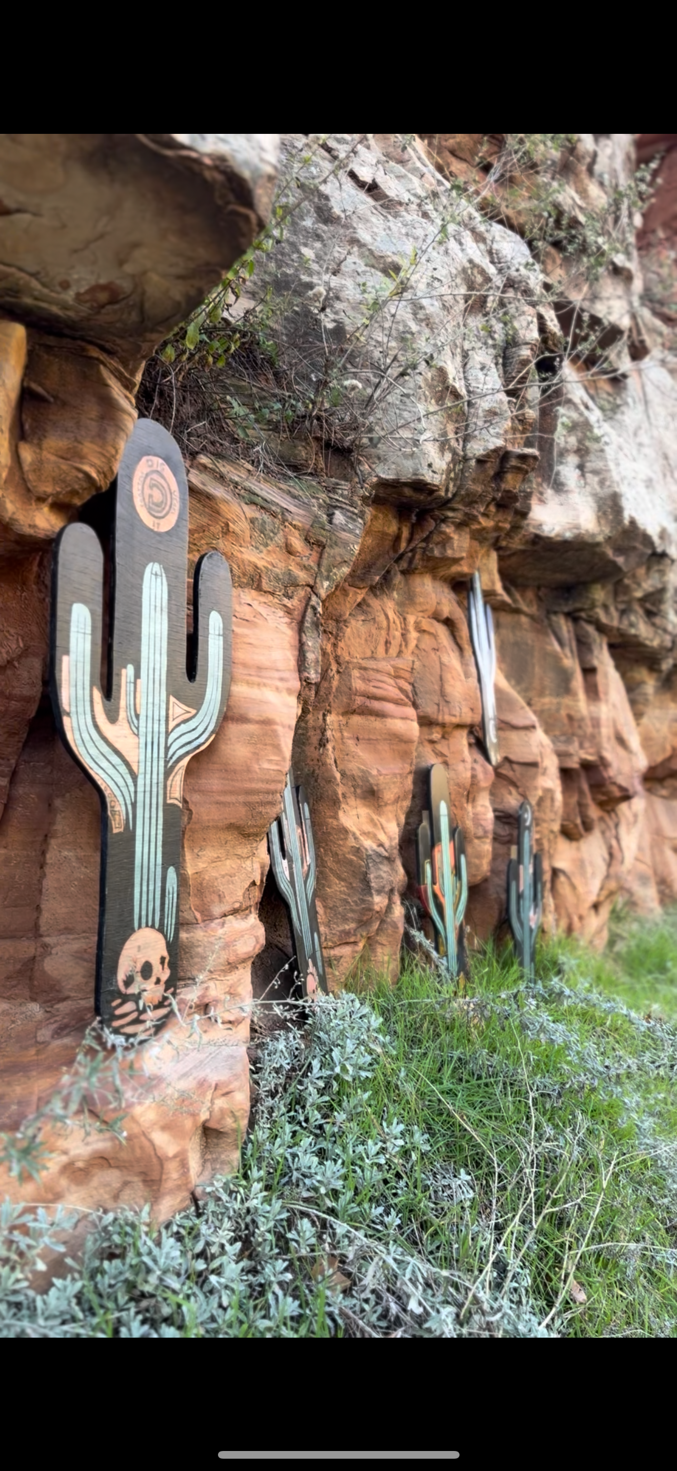 Acid Rock Cacti Series No. 3